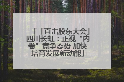 「直击股东大会」四川长虹：正视“内卷”竞争态势 加快培育发展新动能